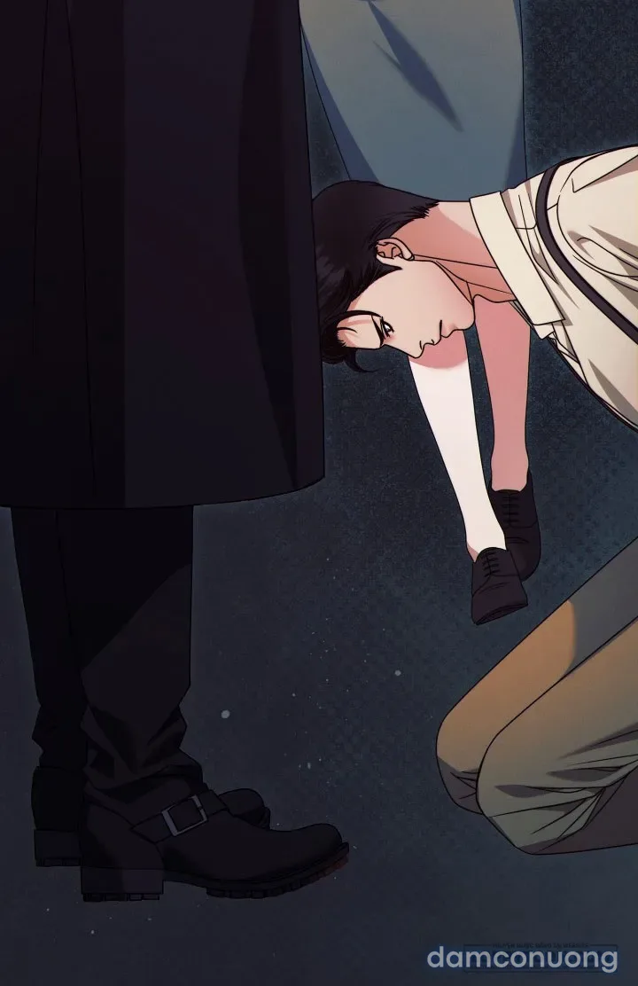 [18+] Hãy Cầu Xin Tôi Đi 