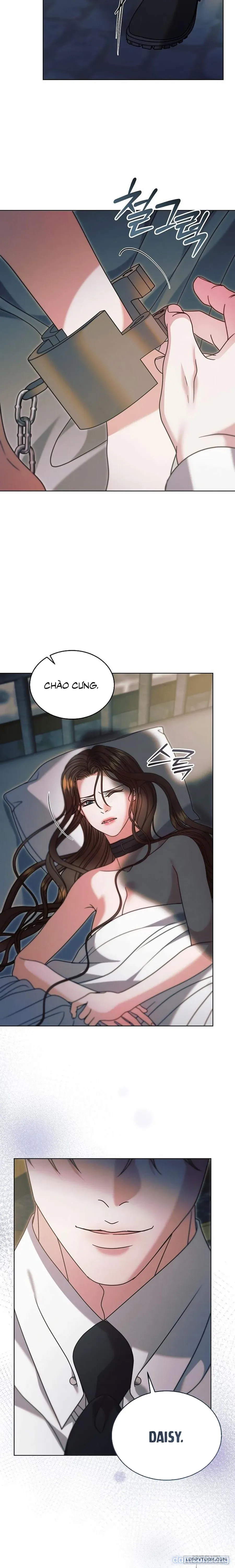 [18+] Hãy Cầu Xin Tôi Đi 