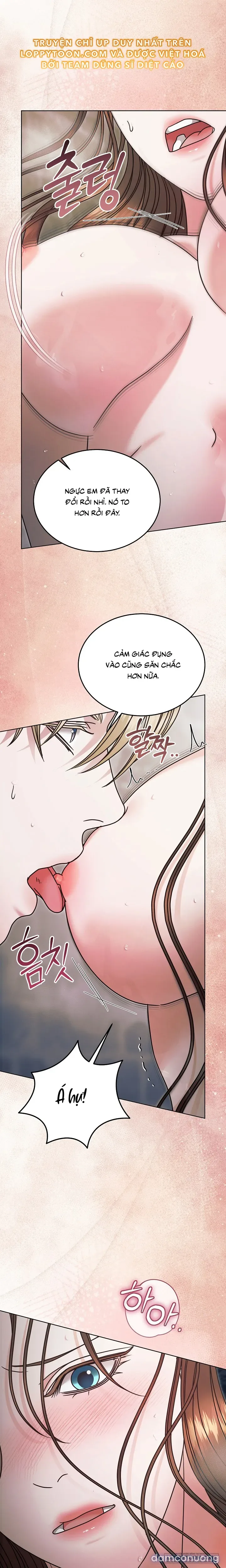[18+] Hãy Cầu Xin Tôi Đi 