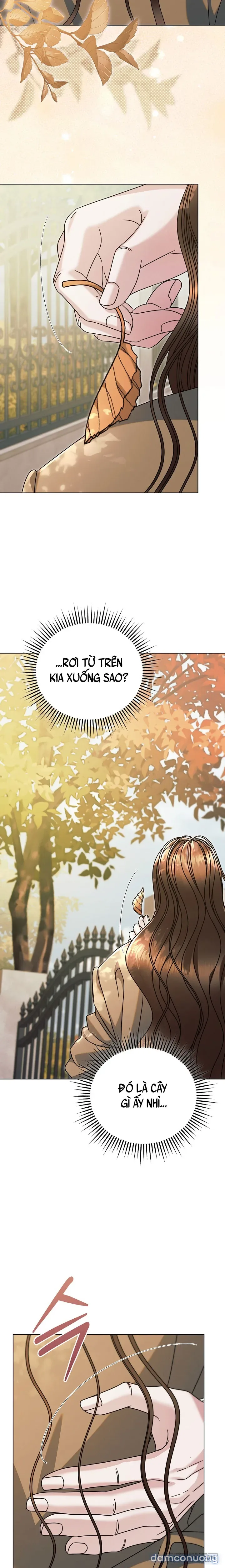 [18+] Hãy Cầu Xin Tôi Đi 