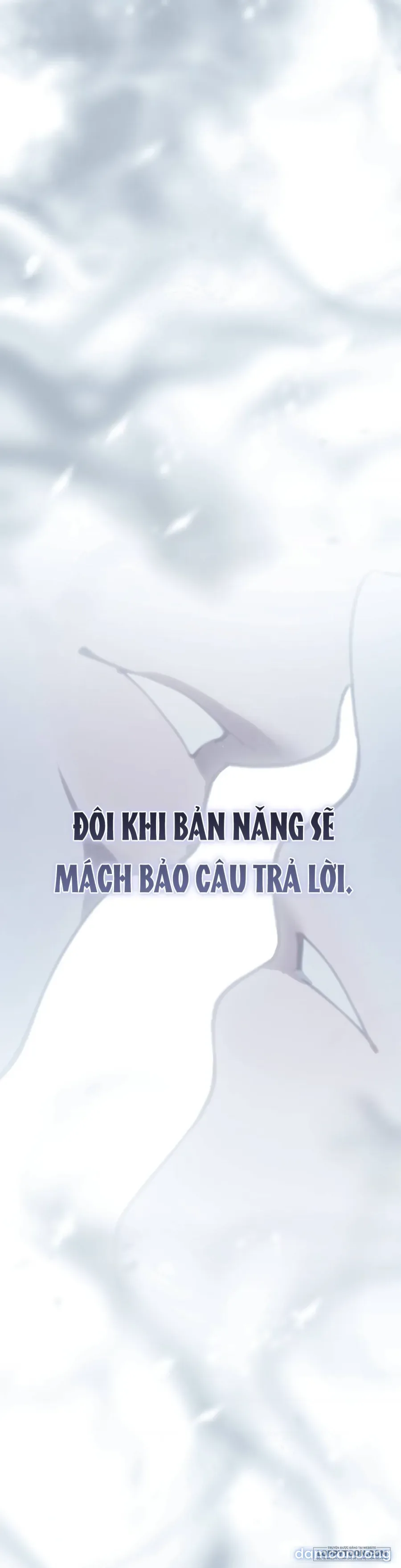 Sự Tàn Khốc Mang Tên Chuộc Tội 