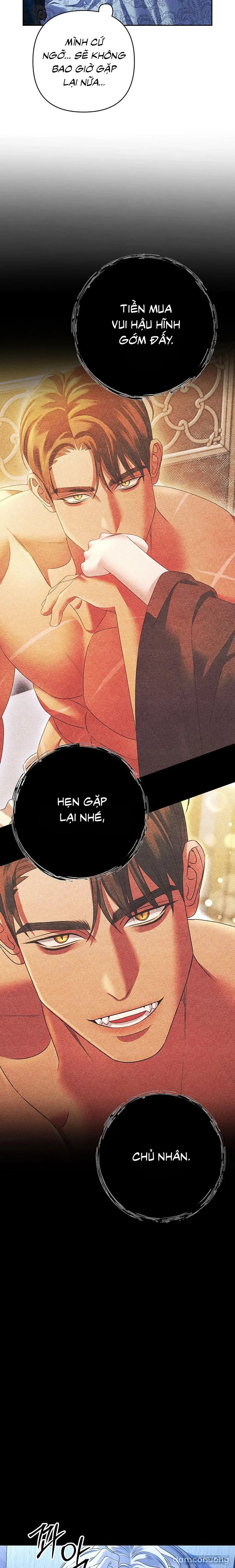 Cuộc Hôn Nhân Bị Cướp Đoạt 