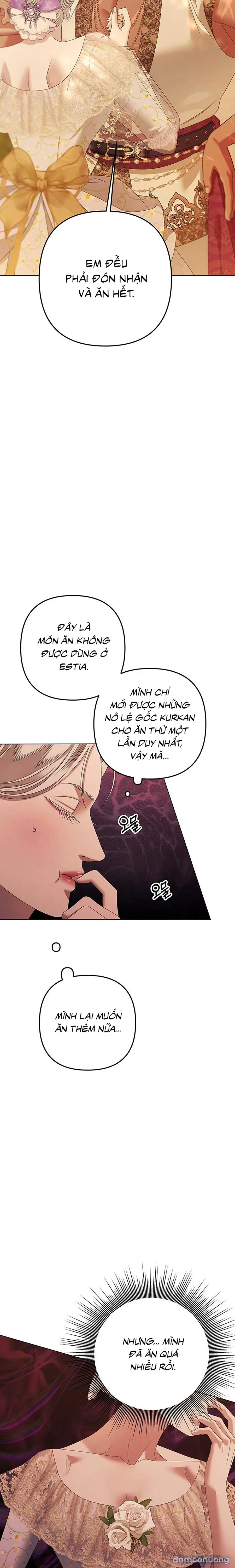 Cuộc Hôn Nhân Bị Cướp Đoạt 