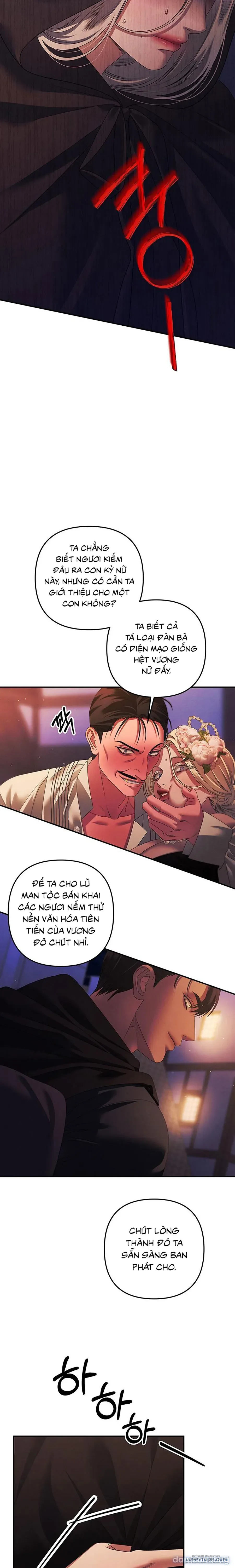 Cuộc Hôn Nhân Bị Cướp Đoạt 