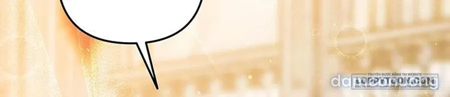 Cuộc Hôn Nhân Bị Cướp Đoạt 