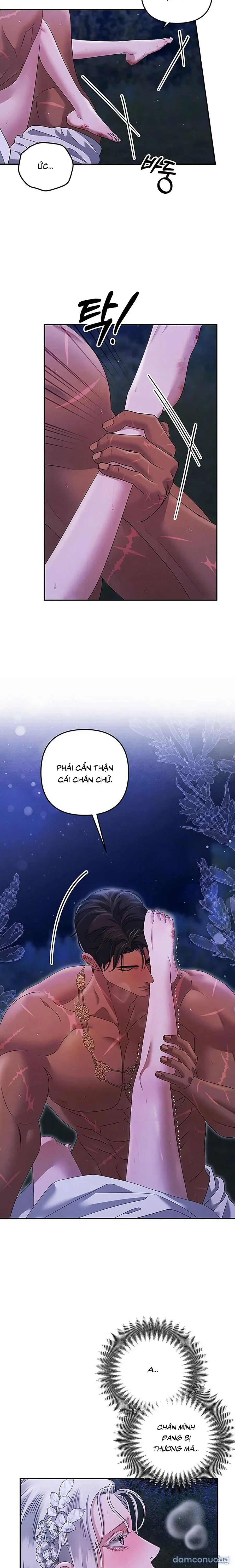 Cuộc Hôn Nhân Bị Cướp Đoạt 