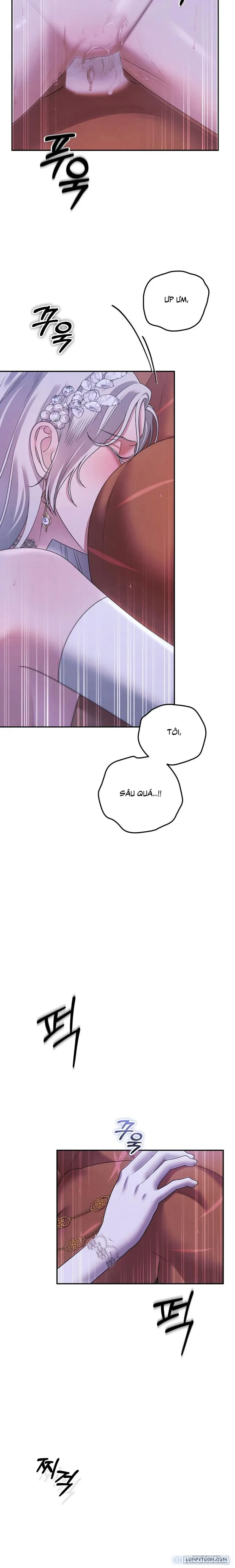 Cuộc Hôn Nhân Bị Cướp Đoạt 