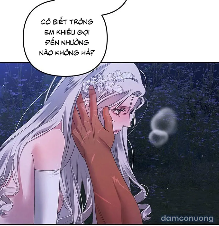 Cuộc Hôn Nhân Bị Cướp Đoạt 