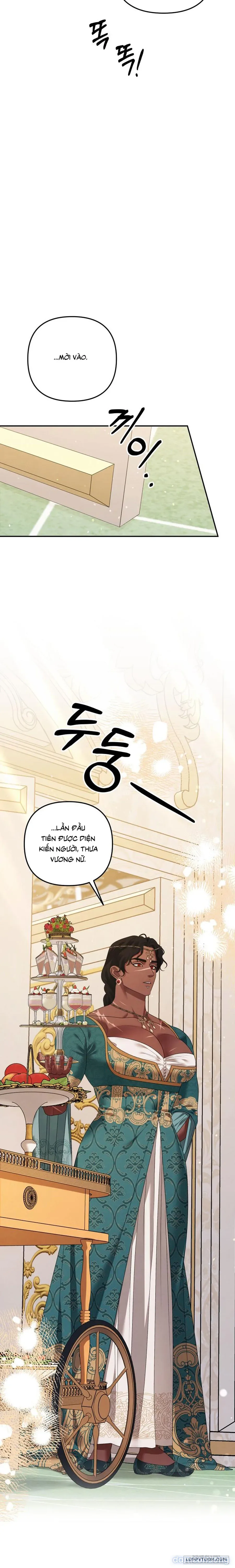 Cuộc Hôn Nhân Bị Cướp Đoạt 
