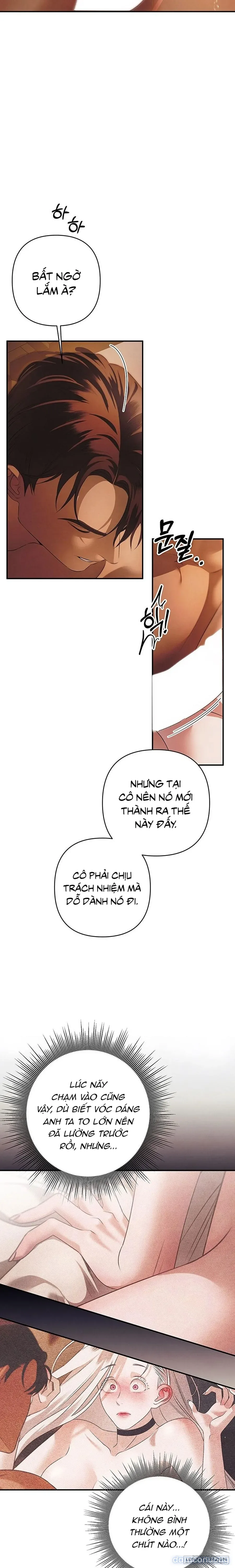 Cuộc Hôn Nhân Bị Cướp Đoạt 