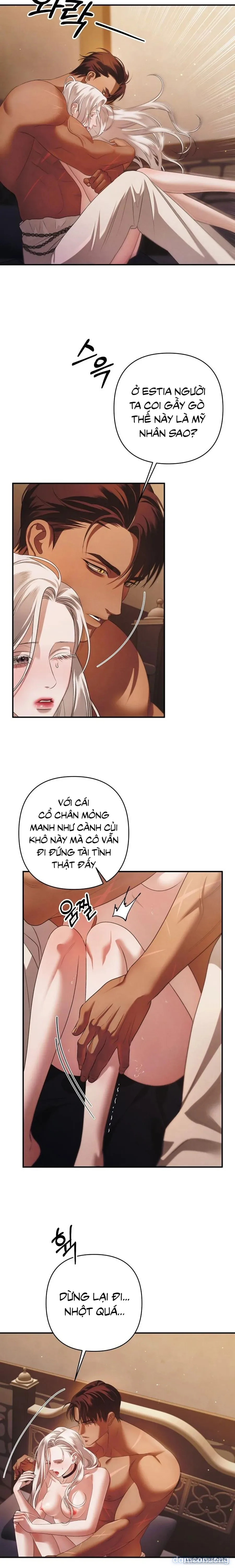 Cuộc Hôn Nhân Bị Cướp Đoạt 