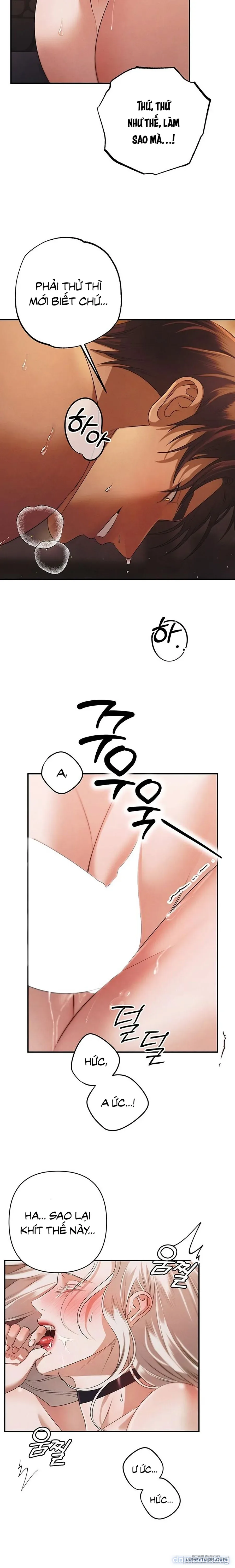 Cuộc Hôn Nhân Bị Cướp Đoạt 