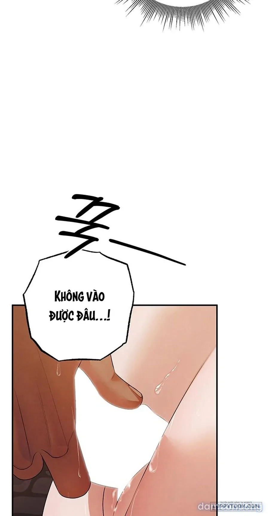 Cuộc Hôn Nhân Bị Cướp Đoạt 