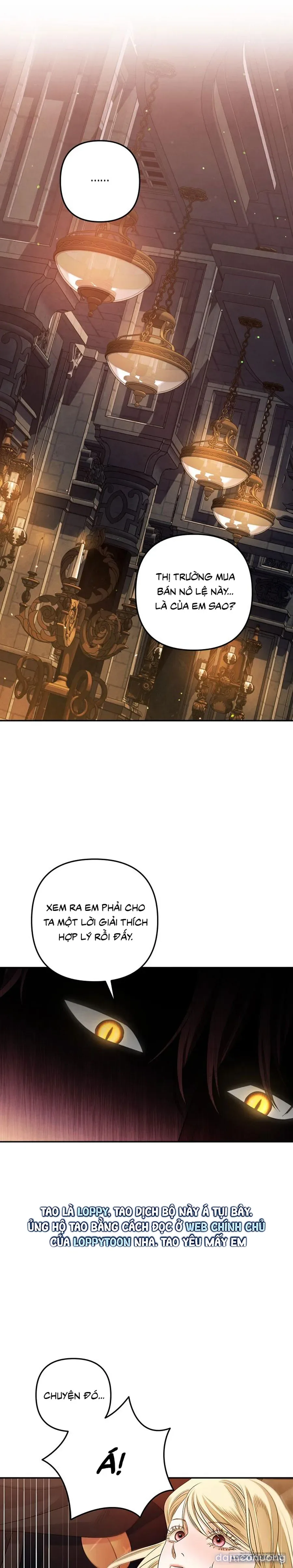 Cuộc Hôn Nhân Bị Cướp Đoạt 