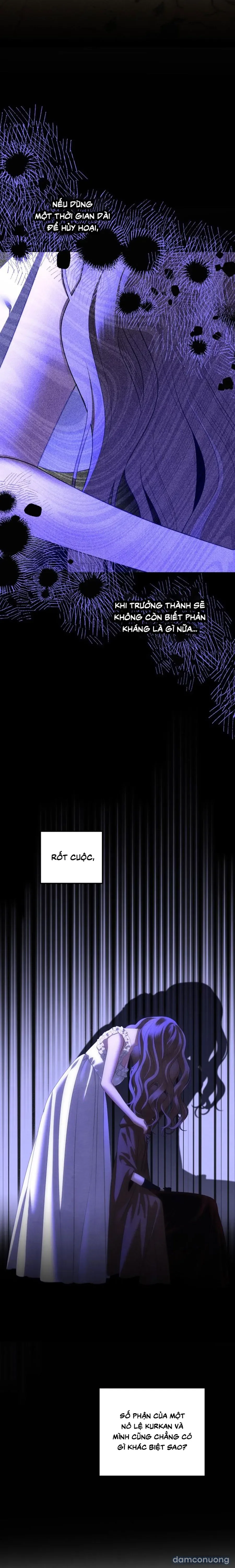 Cuộc Hôn Nhân Bị Cướp Đoạt 