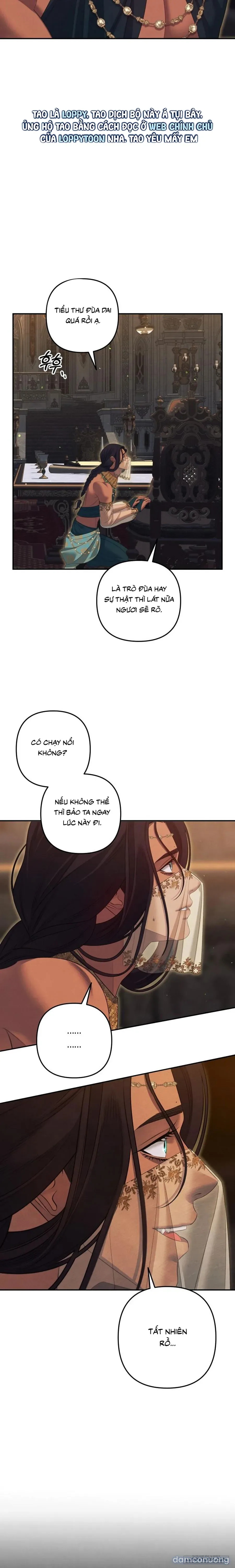 Cuộc Hôn Nhân Bị Cướp Đoạt 