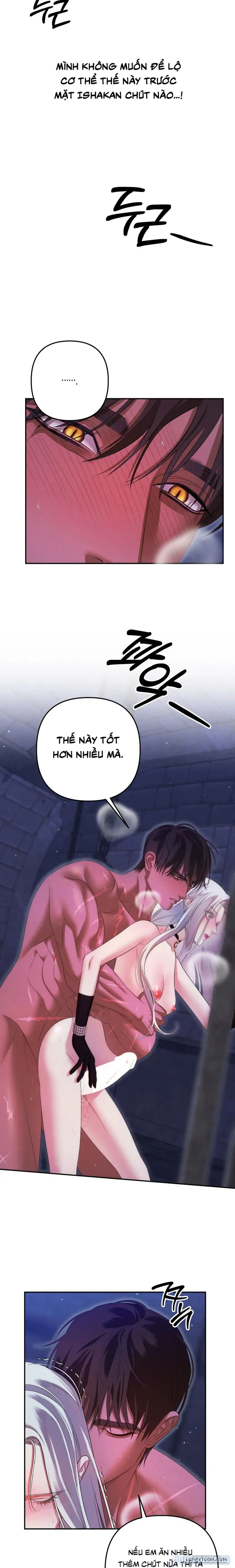 Cuộc Hôn Nhân Bị Cướp Đoạt 