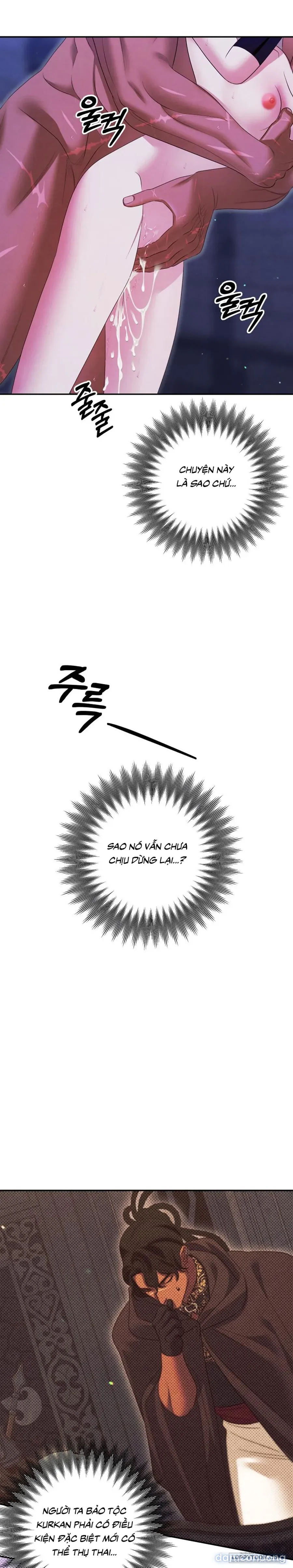 Cuộc Hôn Nhân Bị Cướp Đoạt 
