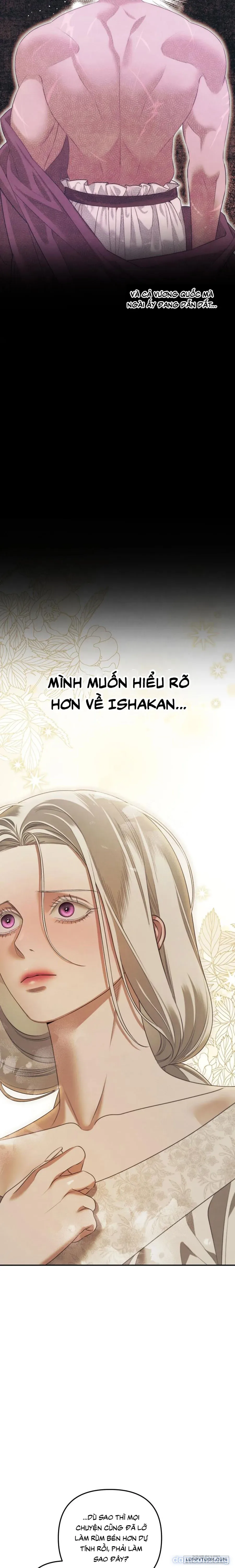 Cuộc Hôn Nhân Bị Cướp Đoạt 