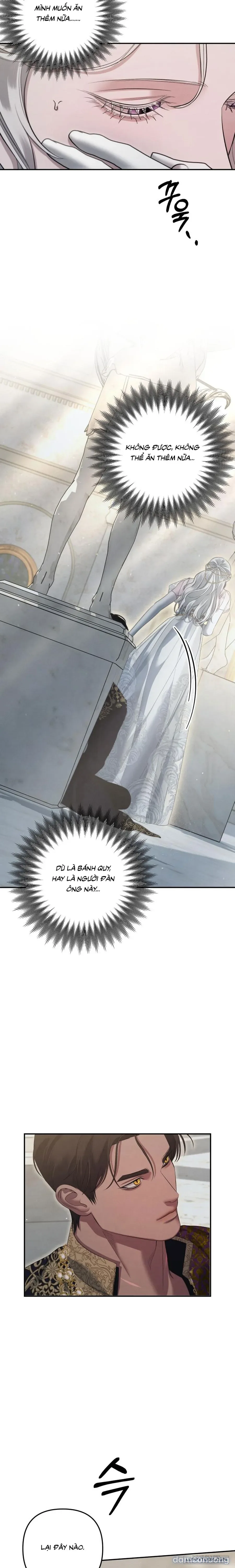Cuộc Hôn Nhân Bị Cướp Đoạt 