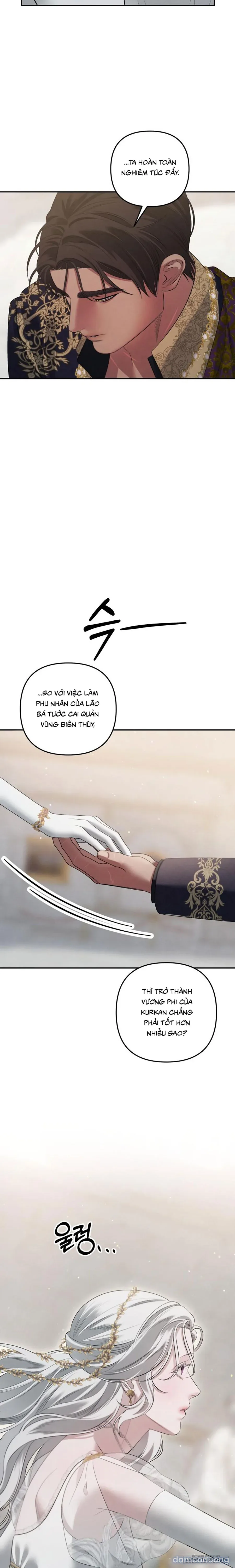 Cuộc Hôn Nhân Bị Cướp Đoạt 