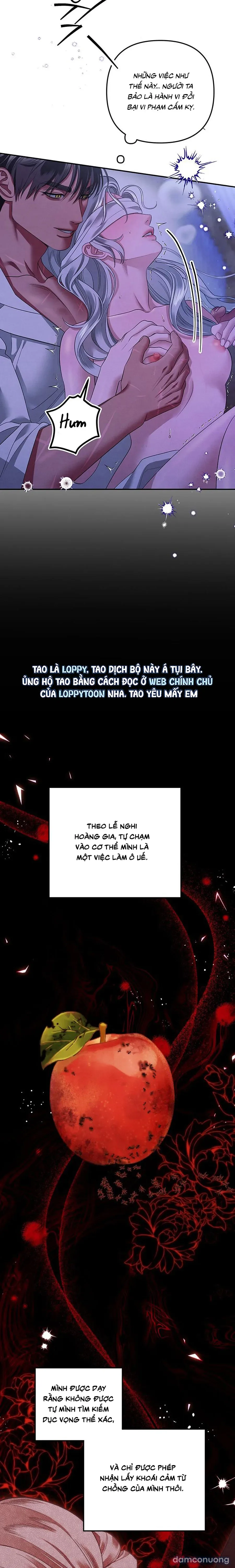 Cuộc Hôn Nhân Bị Cướp Đoạt 