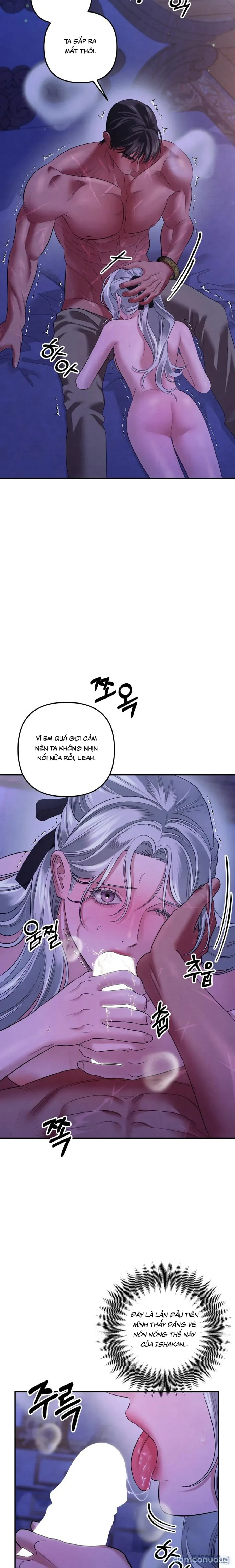 Cuộc Hôn Nhân Bị Cướp Đoạt 