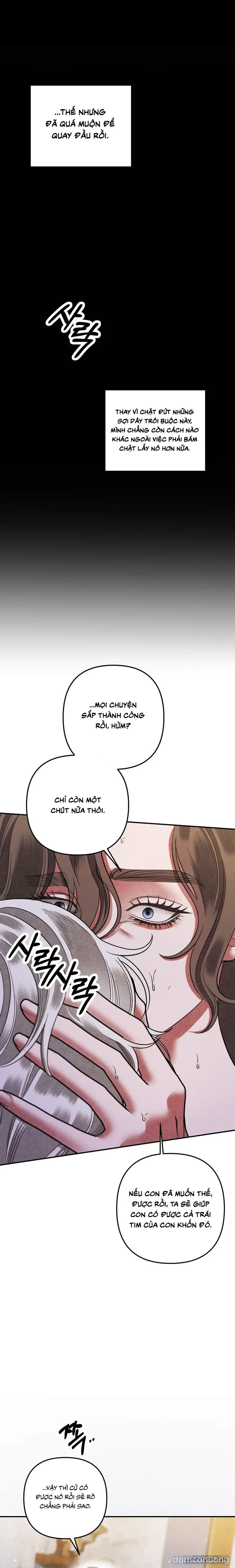 Cuộc Hôn Nhân Bị Cướp Đoạt 