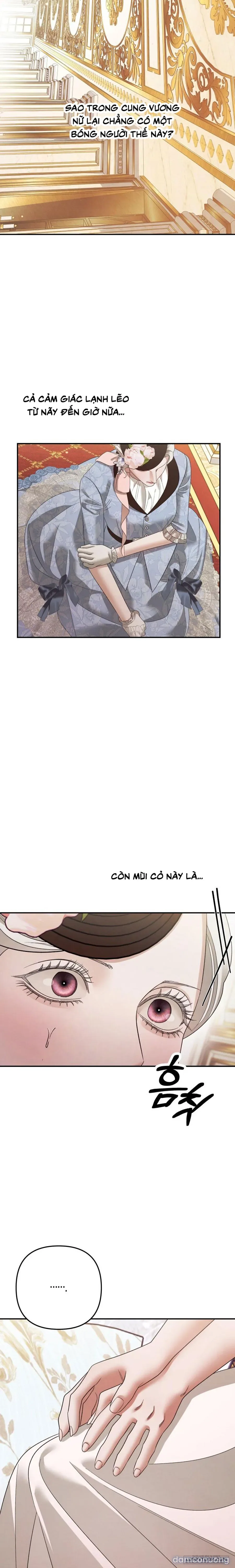 Cuộc Hôn Nhân Bị Cướp Đoạt 