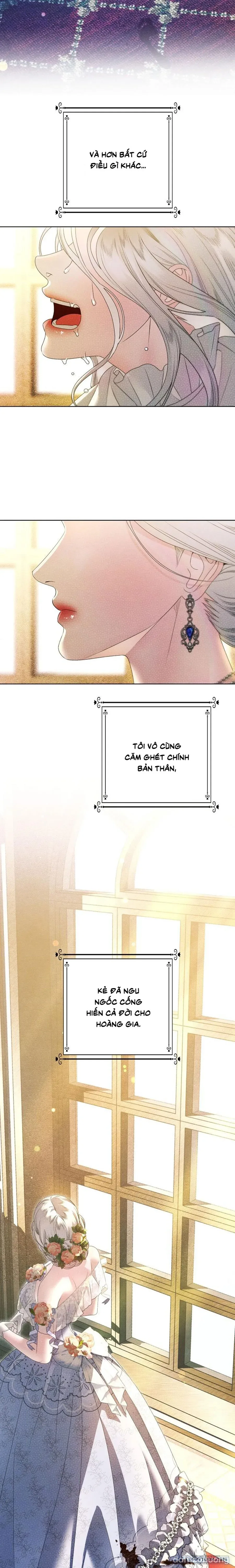 Cuộc Hôn Nhân Bị Cướp Đoạt 