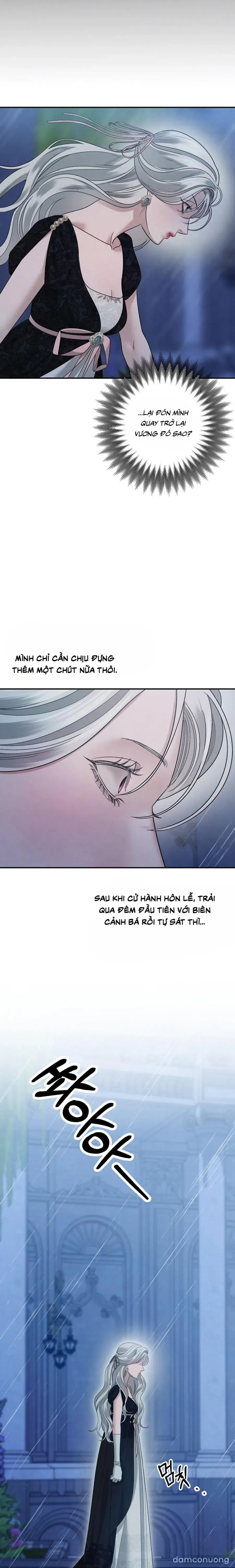 Cuộc Hôn Nhân Bị Cướp Đoạt 