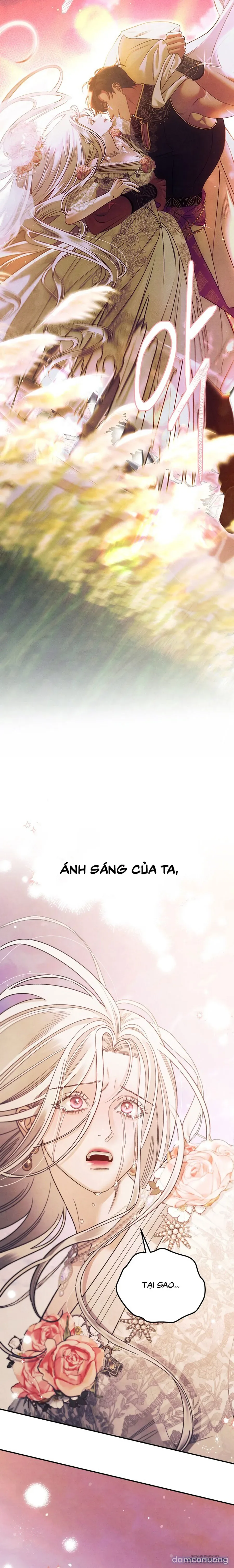 Cuộc Hôn Nhân Bị Cướp Đoạt 