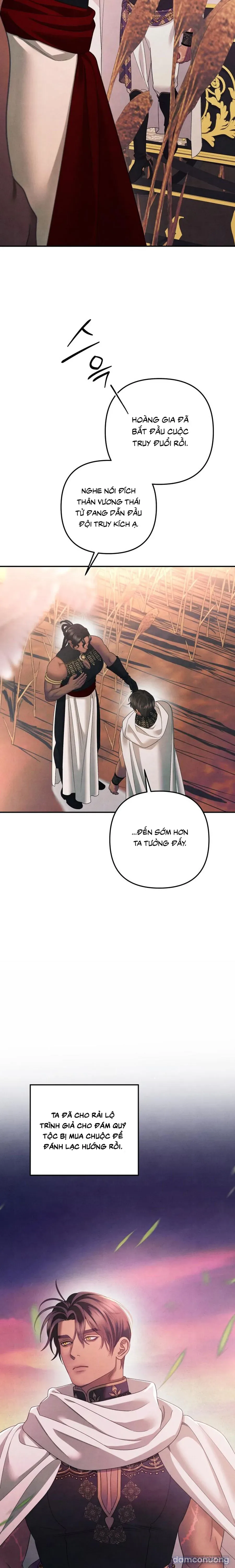 Cuộc Hôn Nhân Bị Cướp Đoạt 
