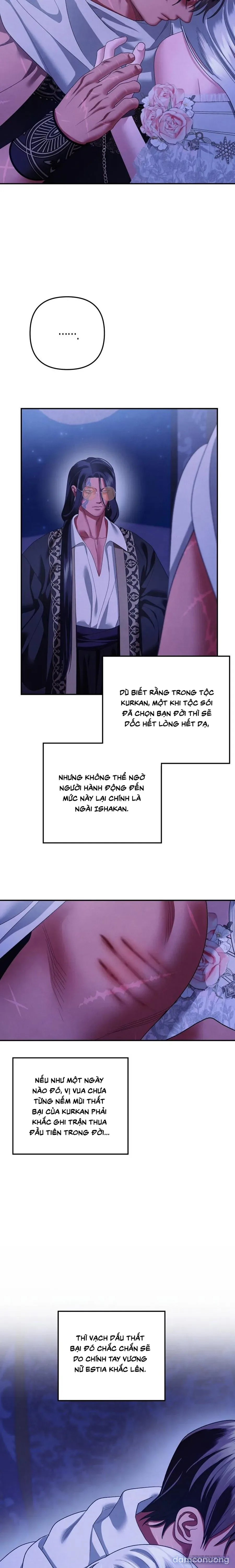 Cuộc Hôn Nhân Bị Cướp Đoạt 