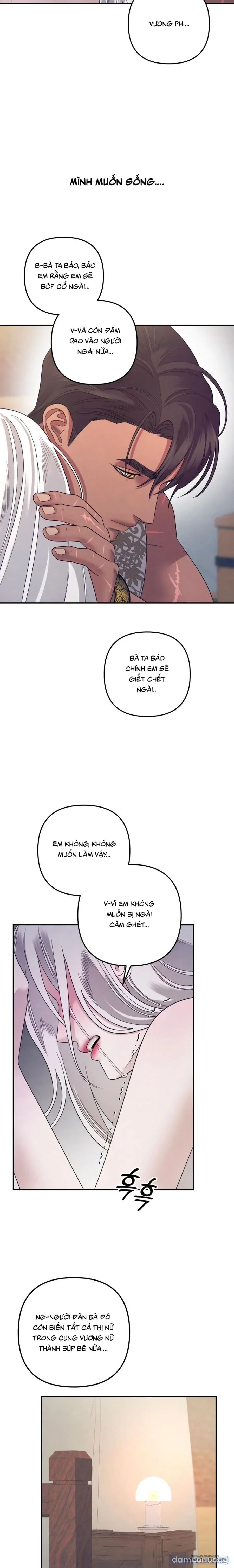 Cuộc Hôn Nhân Bị Cướp Đoạt 