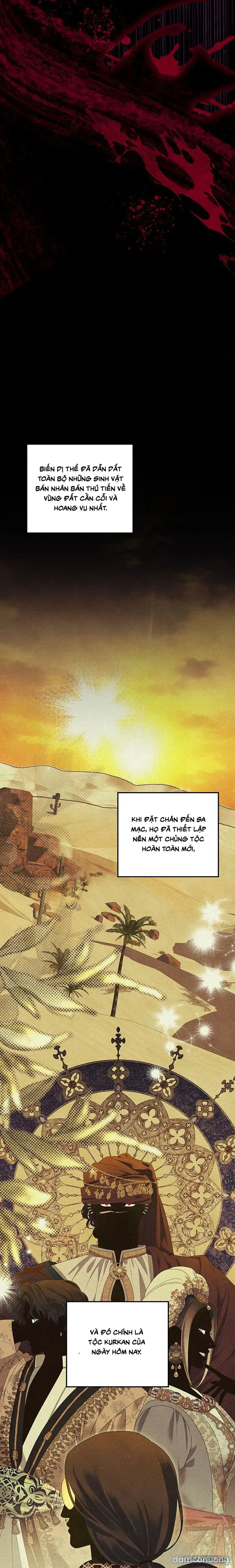 Cuộc Hôn Nhân Bị Cướp Đoạt 