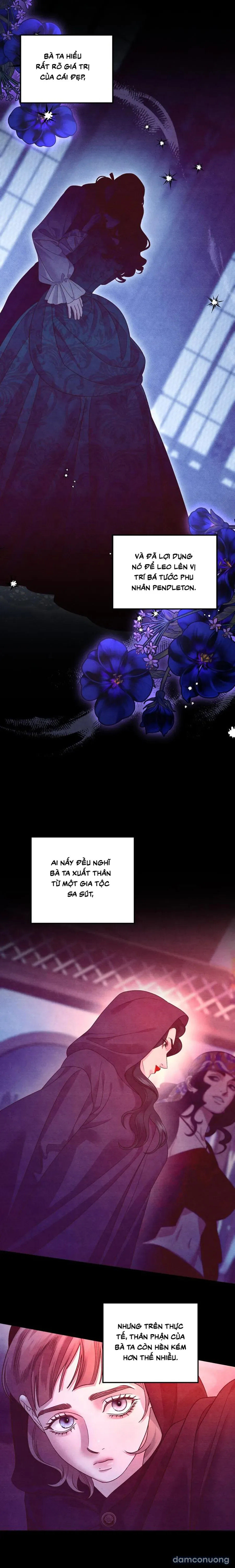 Cuộc Hôn Nhân Bị Cướp Đoạt 