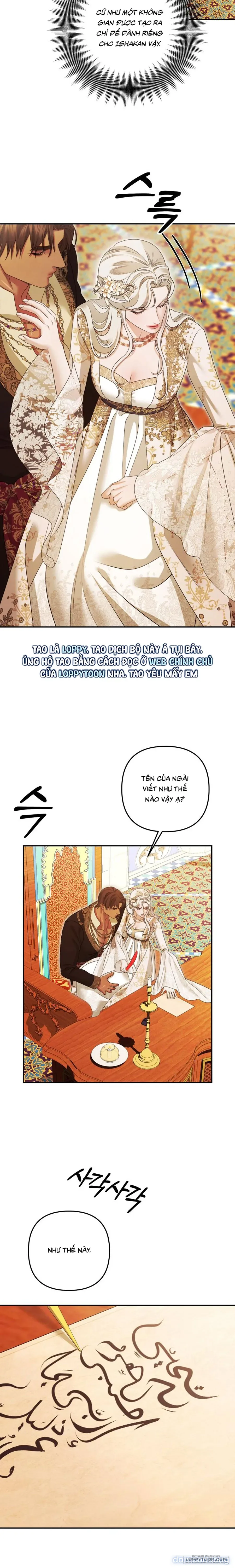 Cuộc Hôn Nhân Bị Cướp Đoạt 