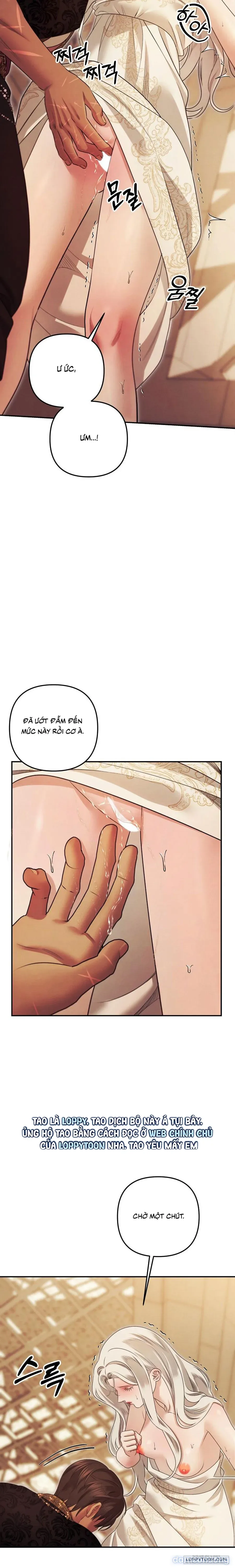 Cuộc Hôn Nhân Bị Cướp Đoạt 