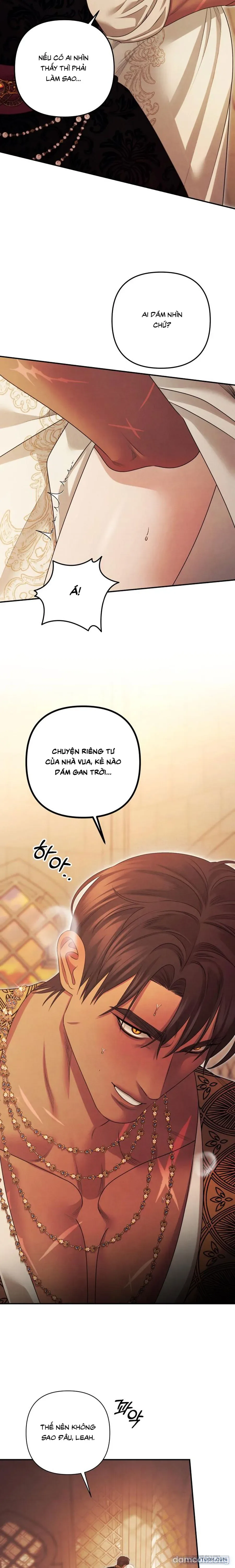 Cuộc Hôn Nhân Bị Cướp Đoạt 