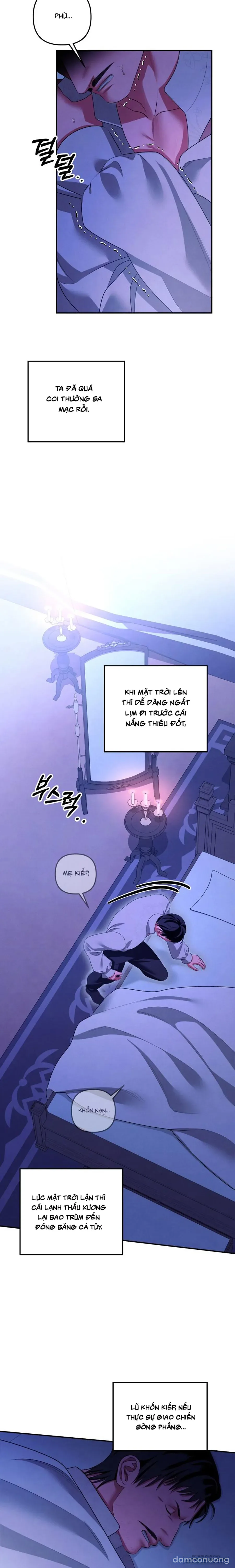 Cuộc Hôn Nhân Bị Cướp Đoạt 