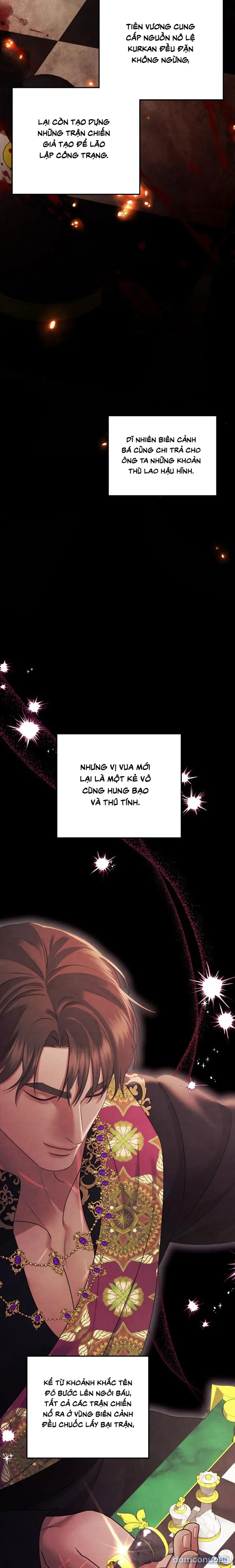Cuộc Hôn Nhân Bị Cướp Đoạt 