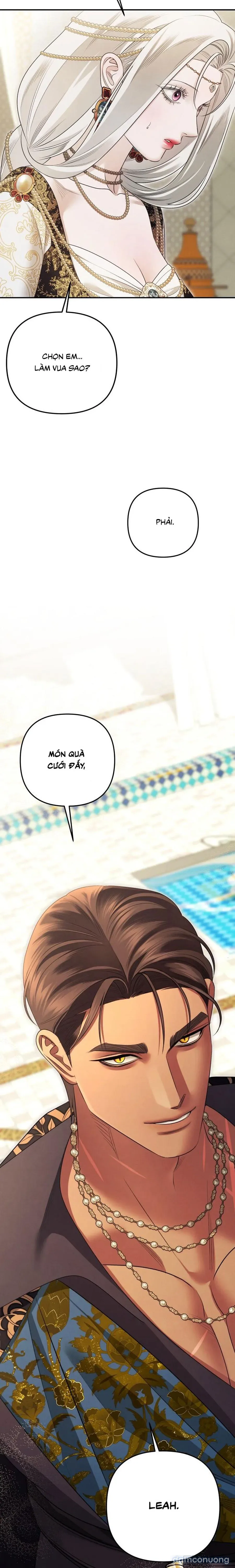 Cuộc Hôn Nhân Bị Cướp Đoạt 