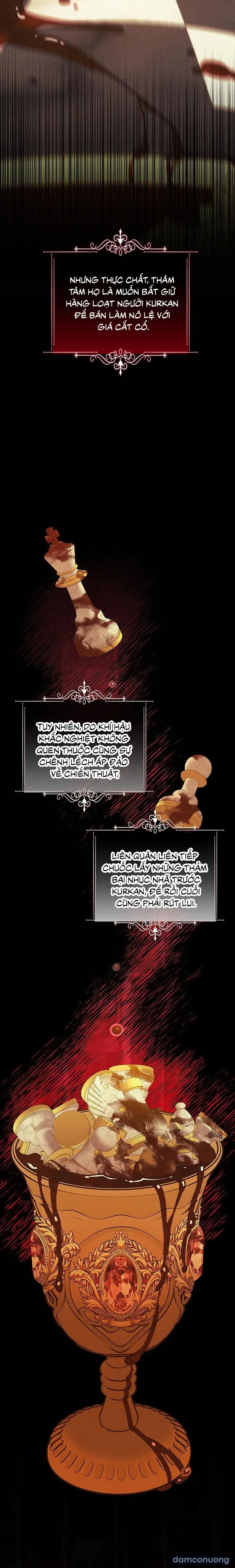 Cuộc Hôn Nhân Bị Cướp Đoạt 