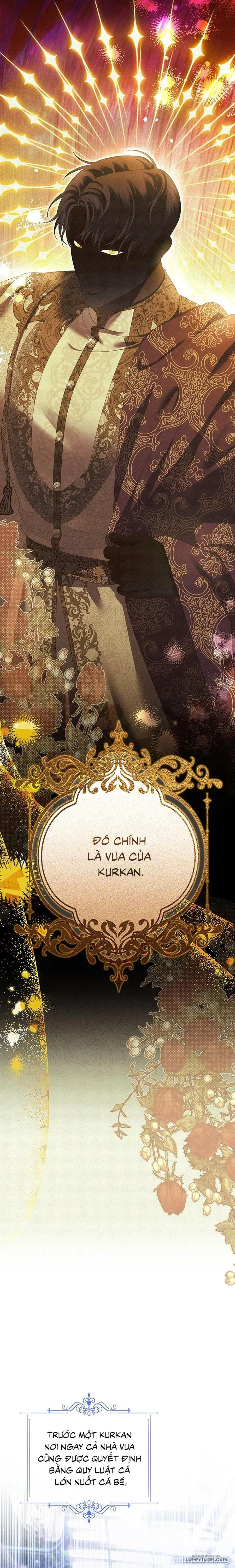 Cuộc Hôn Nhân Bị Cướp Đoạt 