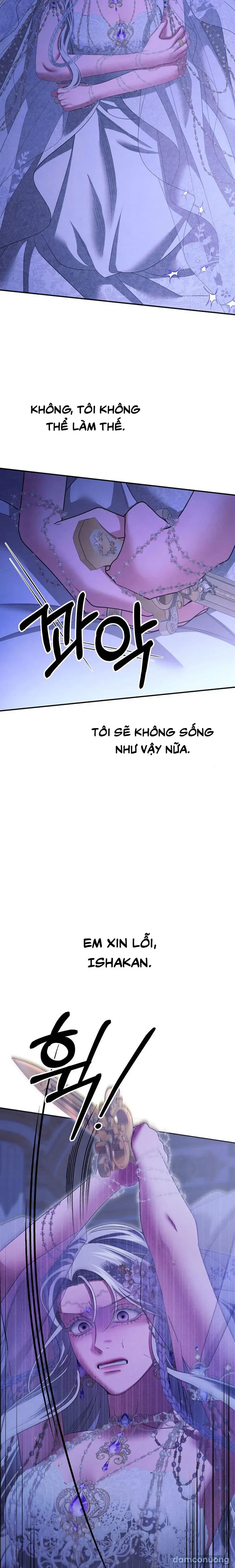 Cuộc Hôn Nhân Bị Cướp Đoạt 
