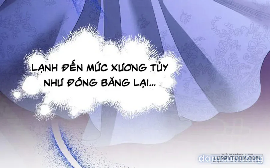 Cuộc Hôn Nhân Bị Cướp Đoạt 