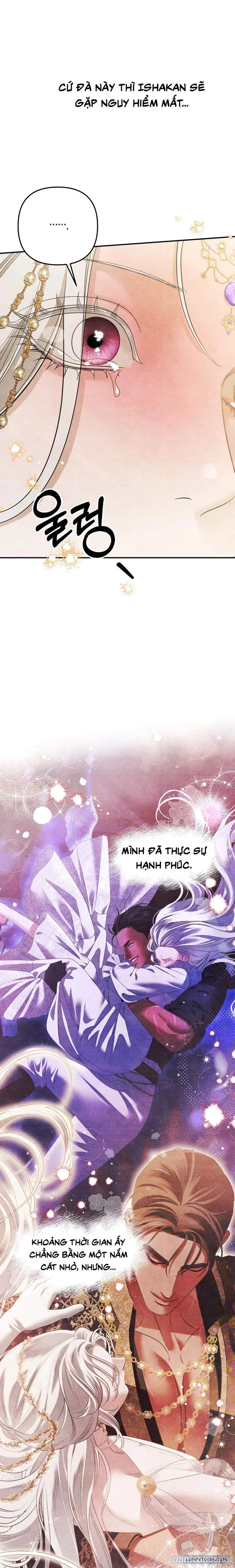 Cuộc Hôn Nhân Bị Cướp Đoạt 