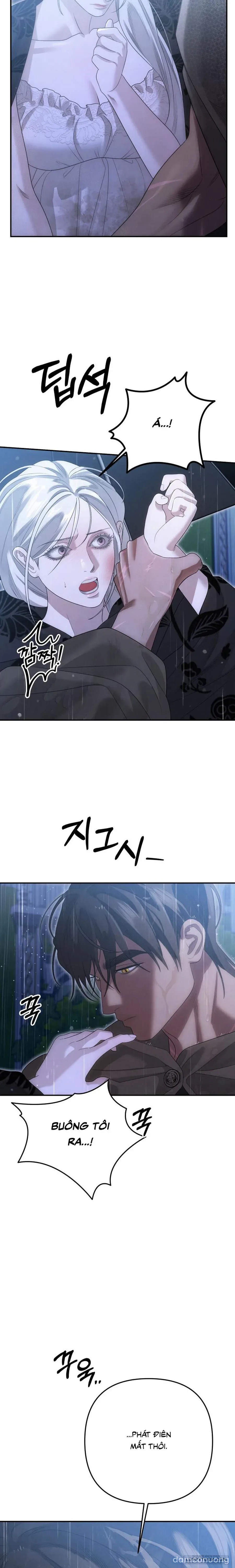 Cuộc Hôn Nhân Bị Cướp Đoạt 