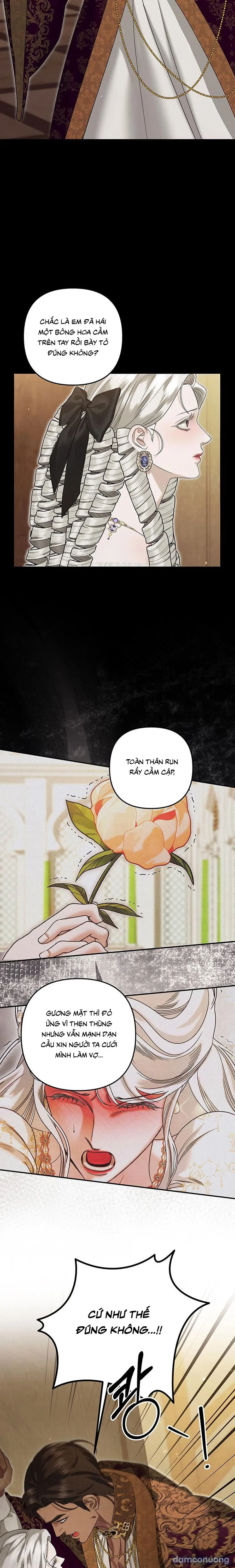 Cuộc Hôn Nhân Bị Cướp Đoạt 